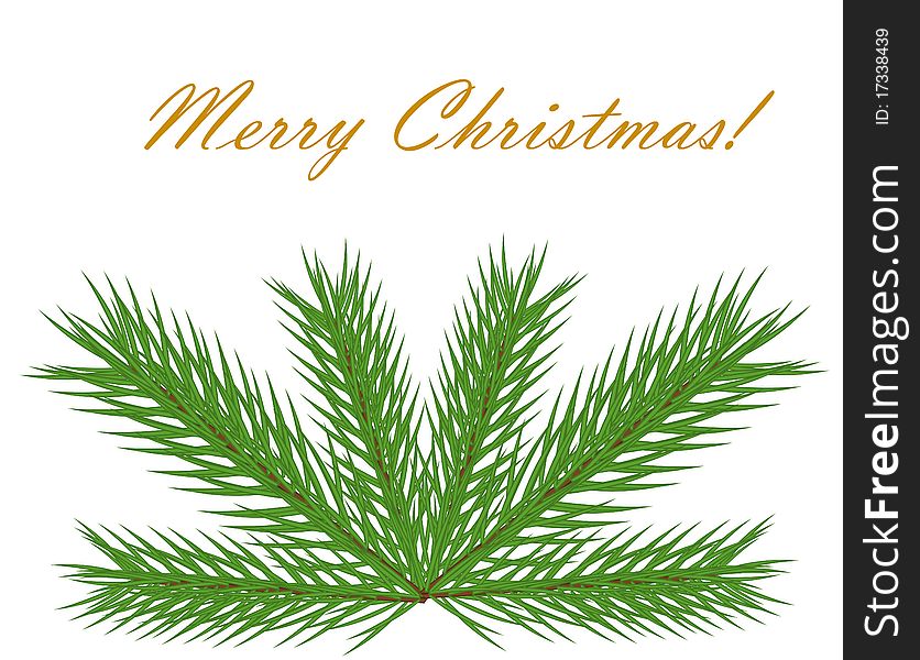 Christmas fir branch on greeting card