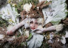 Female Portrait In Fairy Tale Stylisation Surrounded With Natural Plants And Flowers. Royalty Free Stock Photo