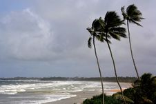 Windy Beach Royalty Free Stock Photography Windy Beach Royalty Free Stock Photography