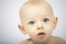 Amazed Royalty Free Stock Images Amazed Royalty Free Stock Images