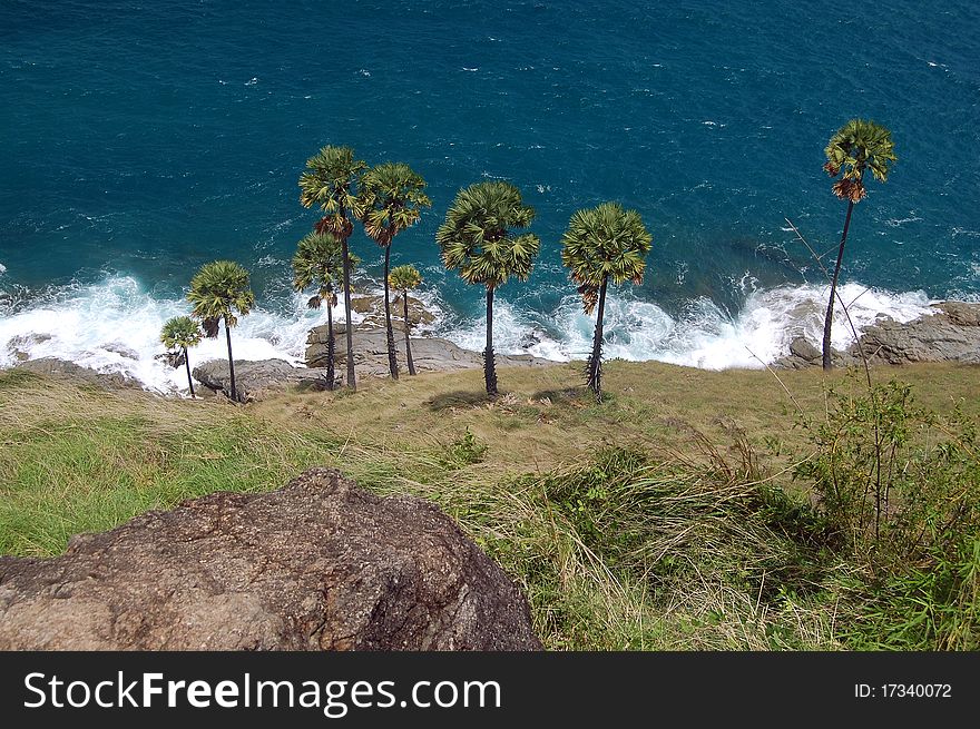 Surf and palm trees on the island of Phuket in Thailand. Surf and palm trees on the island of Phuket in Thailand