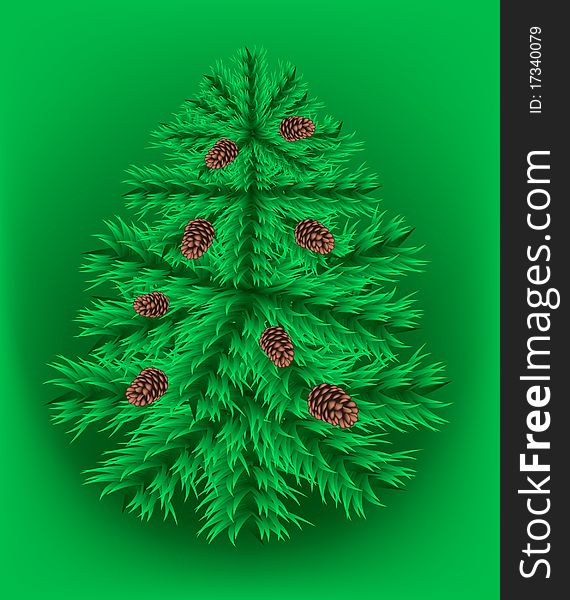 Realistic fir christmas tree illustration. Realistic fir christmas tree illustration