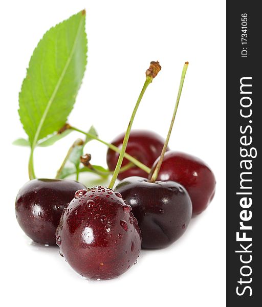 Sweet cherries with leaves