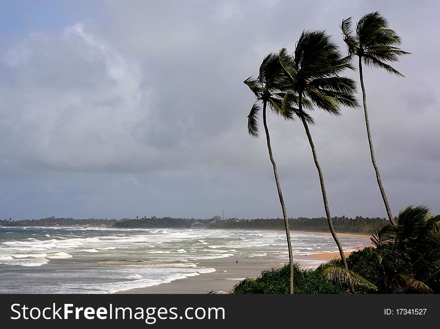 Windy beach on Indian ocean by Sri Lanka