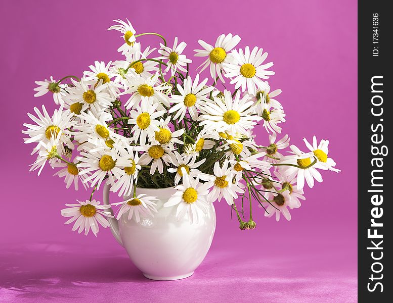 Bouquet of camomile flowers in a jar. Bouquet of camomile flowers in a jar