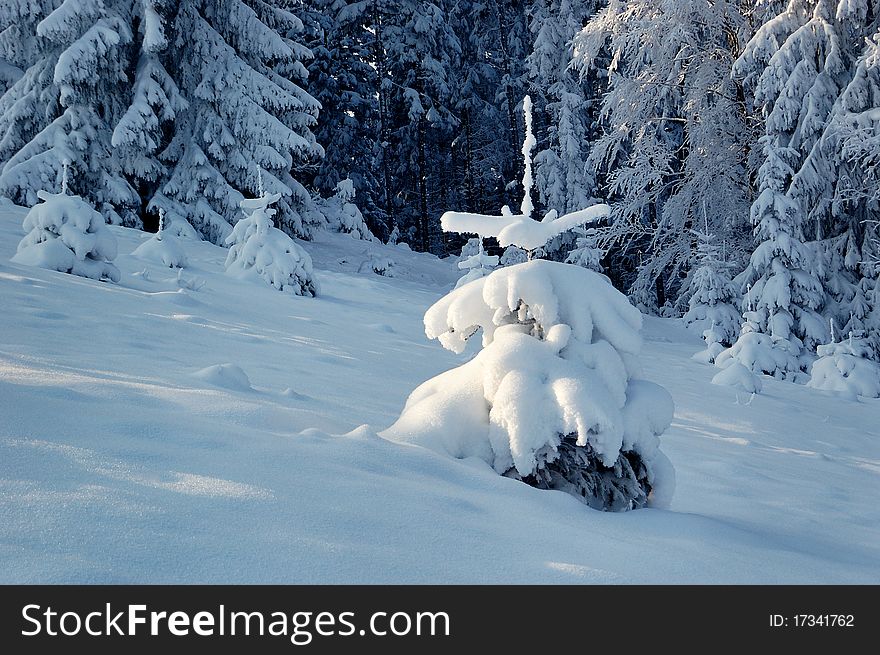 Winter Landscape In Mountains