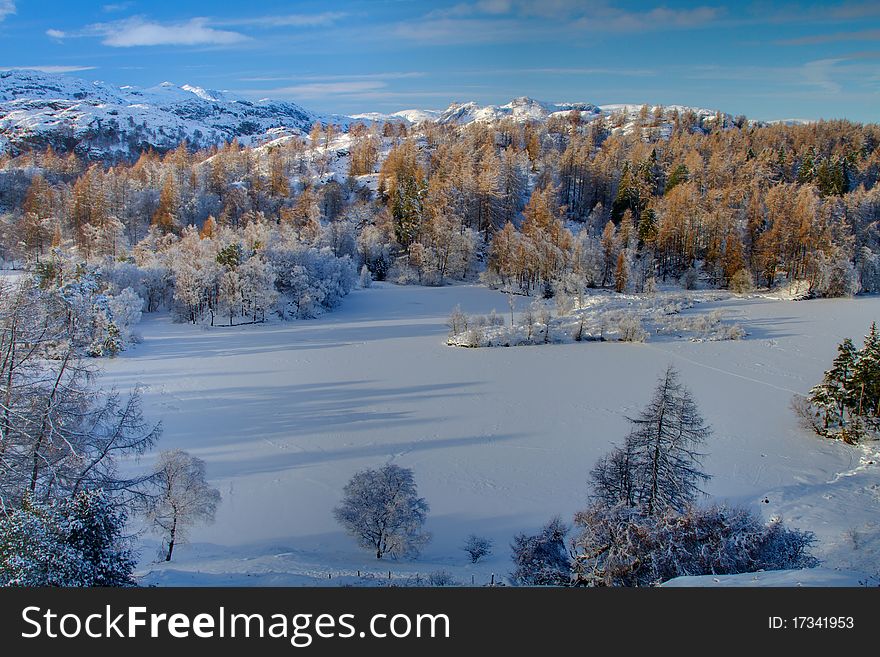 Tarn Hows In Winter 1