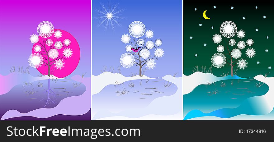 Three images of a tree, in the morning, day and night. Three images of a tree, in the morning, day and night