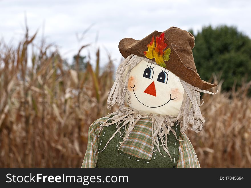 A cute Autumn scarecrow in the corn field, horizontal with shallow depth of field