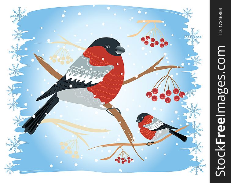 Vector bullfinches on branches in winter .New year card holiday. Vector bullfinches on branches in winter .New year card holiday