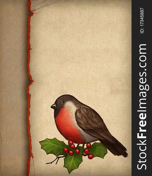 Christmas greeting card with drawing of bullfinch and holly