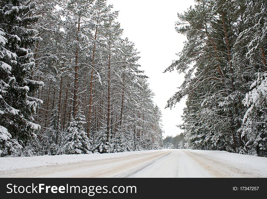 Winter country road in snow