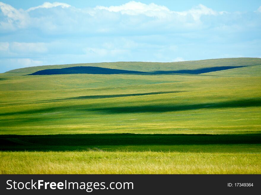 The grassland is up-and-down inner mongolia