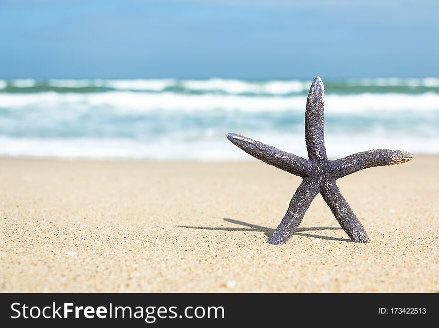 Image of a starfish standing alone on white sandy beach in the sunshine for holidays abstract background. Image of a starfish standing alone on white sandy beach in the sunshine for holidays abstract background.