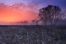 Frosty Morning Stock Image Frosty Morning Stock Image