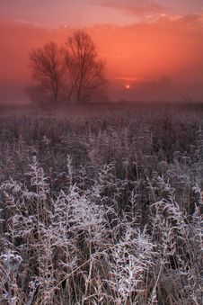Frosty Morning Royalty Free Stock Photos Frosty Morning Royalty Free Stock Photos