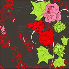Colorful Background With Flowers Stock Photo Colorful Background With Flowers Stock Photo