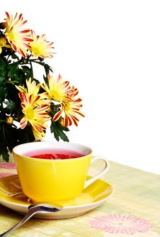 Cup Of Red Tea And Chrysanthemum Flowers Stock Photography Cup Of Red Tea And Chrysanthemum Flowers Stock Photography