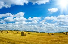 Harvesting Field Royalty Free Stock Image Harvesting Field Royalty Free Stock Image