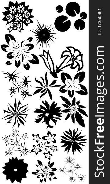 Flower and grass silhouettes collection. Flower and grass silhouettes collection