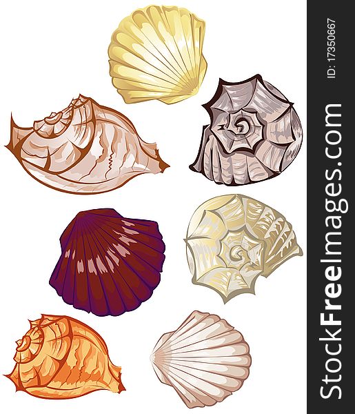 Stylized colorful seashells on a white background. Stylized colorful seashells on a white background