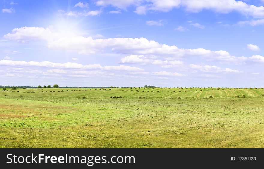 Yellow Field Of Haystacks Under Blue Sky.