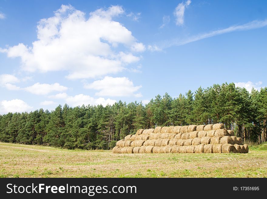 Wheat Haystacks