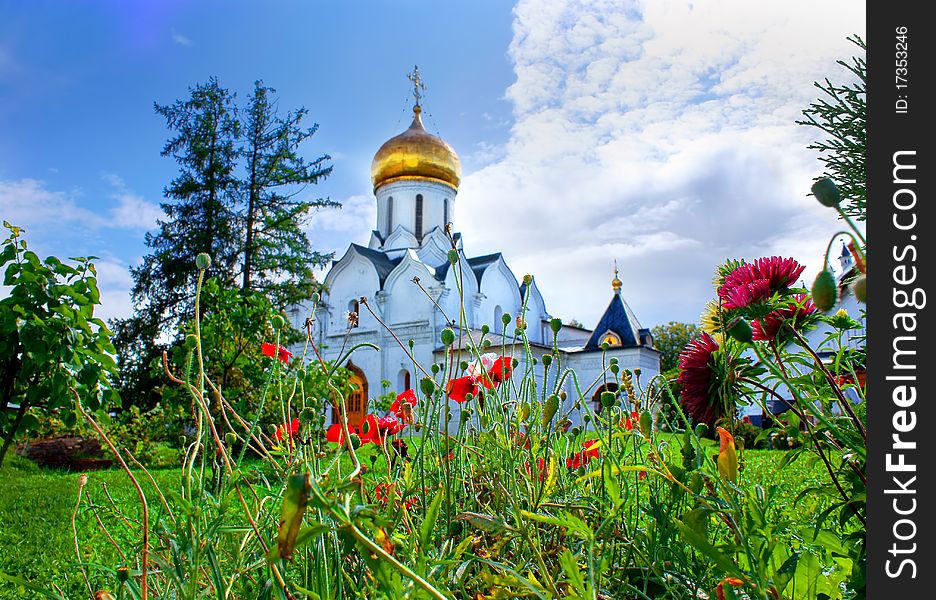 Flowers growing in a garden at church