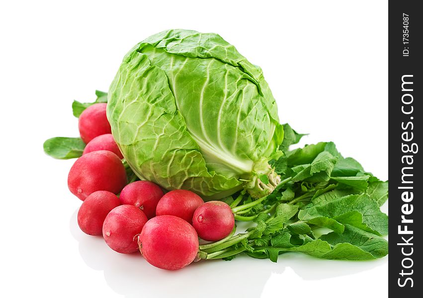 Cabbage and garden radish isolated on white background