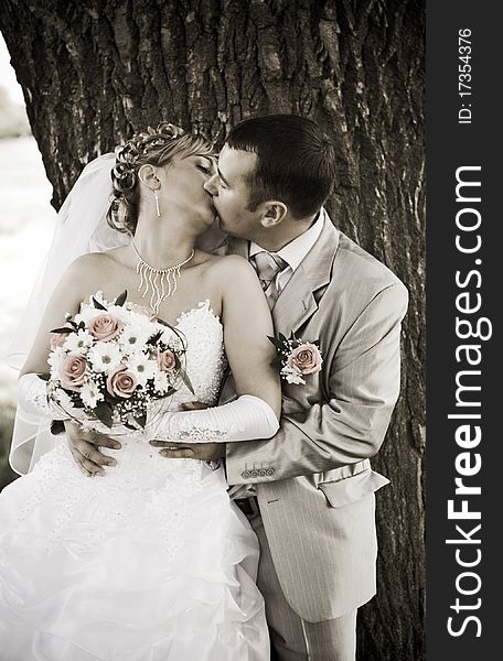 Two newlywed people kisses on a background of the tree trunk. Two newlywed people kisses on a background of the tree trunk