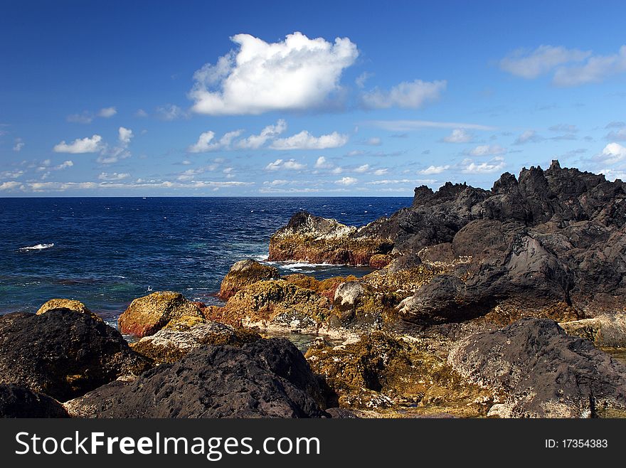 Rocky coast with moss with blue sky and clouds