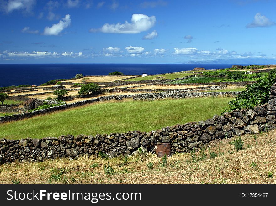 The green fields on Sao Jorge island