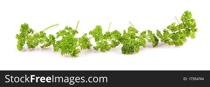 Banches of parsley isolated on white background. Banches of parsley isolated on white background