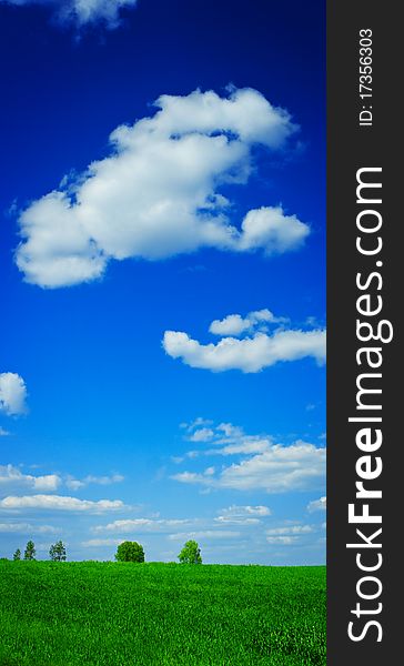 Vertical background of green field with tree and blue sky with sparce cumuus clouds. Vertical background of green field with tree and blue sky with sparce cumuus clouds