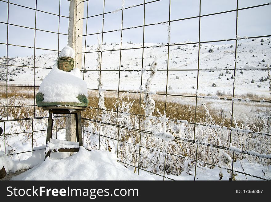 A Buddha statue covered in snow against a metal fence. Winter scene. A Buddha statue covered in snow against a metal fence. Winter scene.