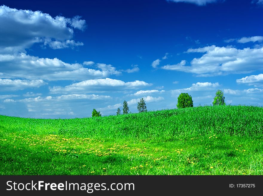 Green hill with yellow dandelions and trees with blue sky. Green hill with yellow dandelions and trees with blue sky