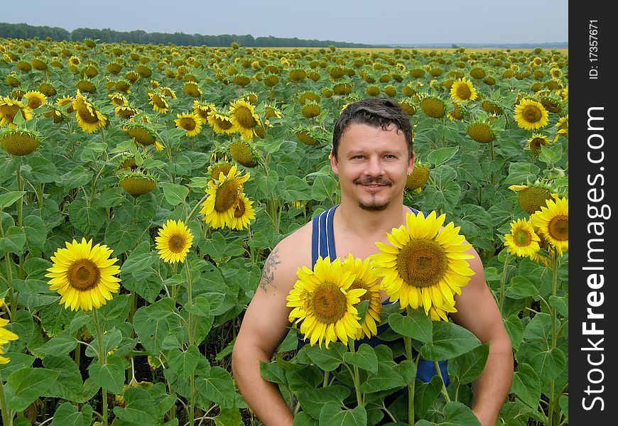 Man In Sunflowers