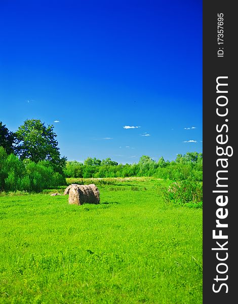 Rural green field
haystack bush and tree