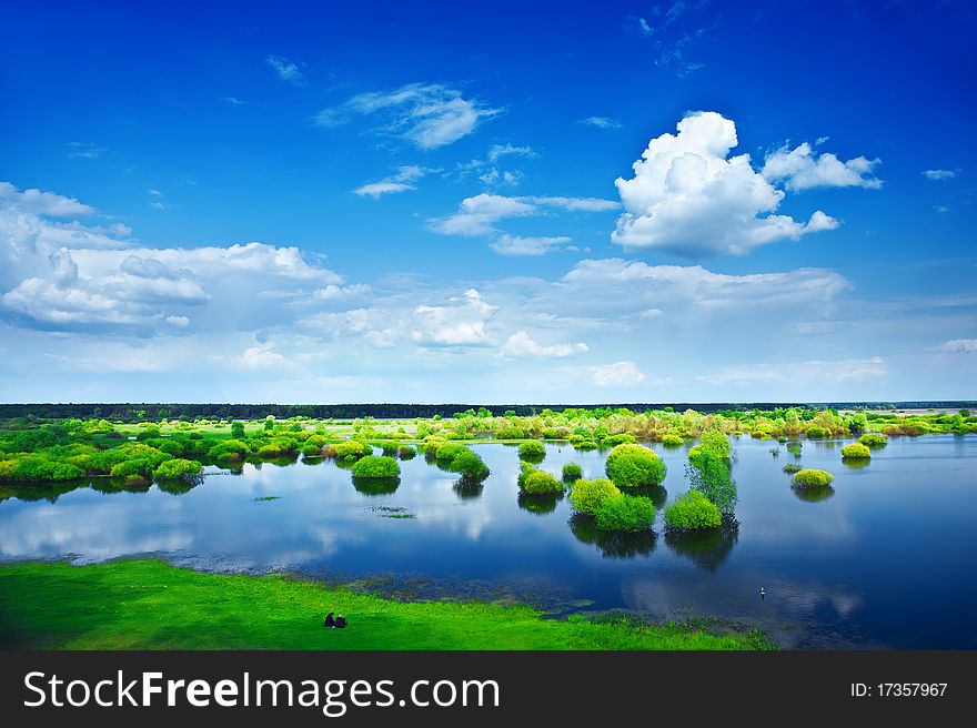 Close up view on the flooden field bushes grass forest horizont sky with sparce cumulus clouds. Close up view on the flooden field bushes grass forest horizont sky with sparce cumulus clouds