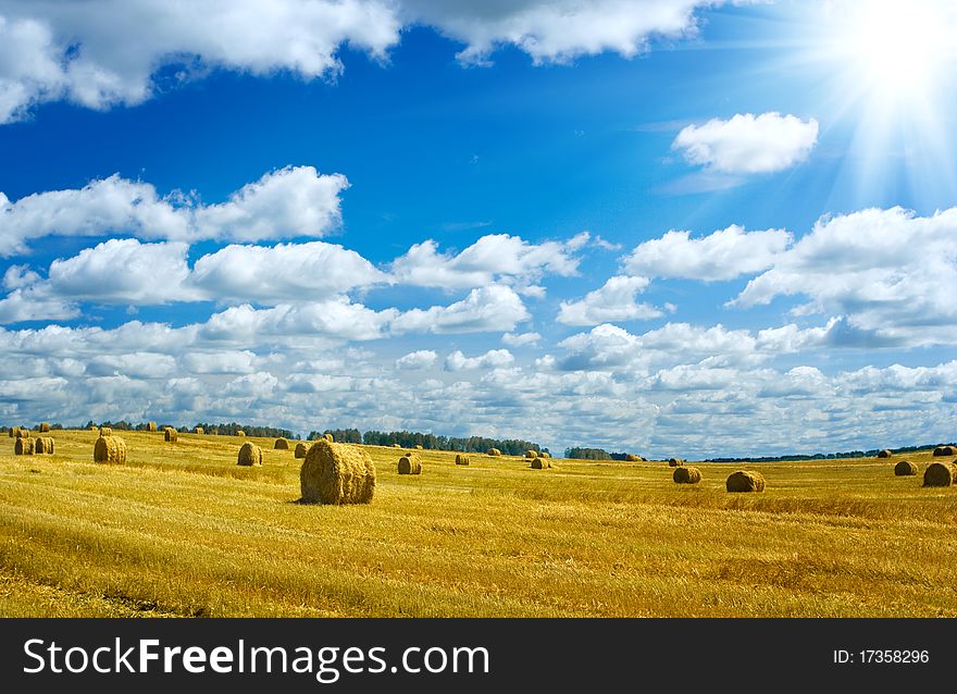 Viev on the harvesting field with haystacks blue cloudy sky sun