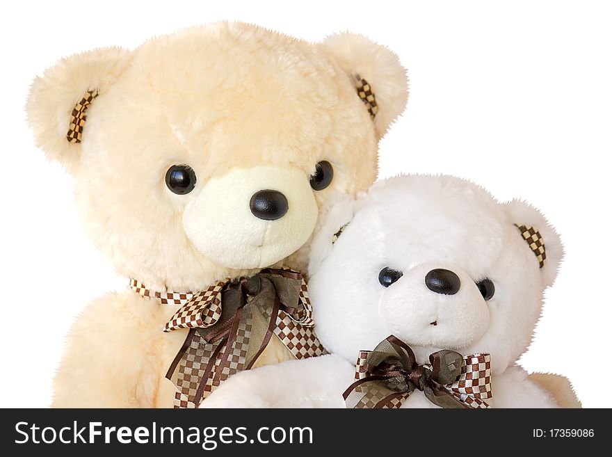 Two teddy bear closeup, isolated on a white background. Two teddy bear closeup, isolated on a white background.