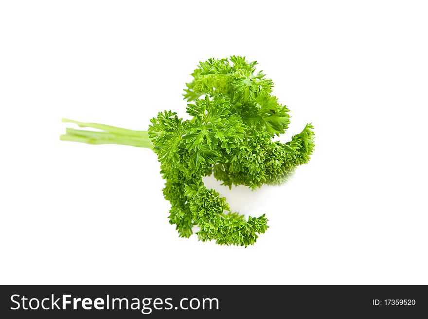 Fresh green branch of parsley isolated on white background