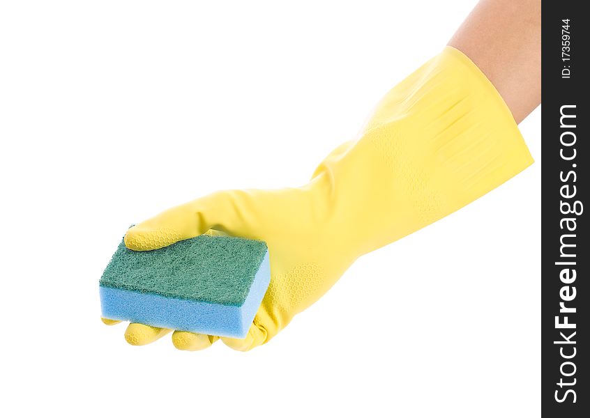 Sponge in hand