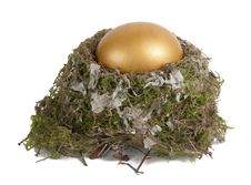 Golden Egg In A Real Nest Royalty Free Stock Photos Golden Egg In A Real Nest Royalty Free Stock Photos