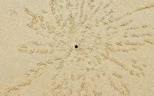 Burrow Of Crab In Sand On The Beach Stock Photos