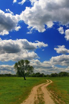 The Road In The Spring Stock Image The Road In The Spring Stock Image