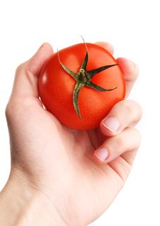 Hand Holding Tomato. Selection Stock Photos
