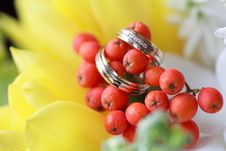 Wedding Rings On The Flowers Stock Images
