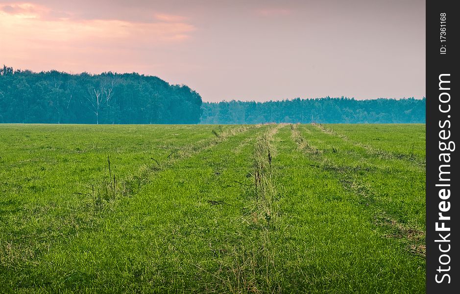 Evening landscape with agricultural field. Evening landscape with agricultural field