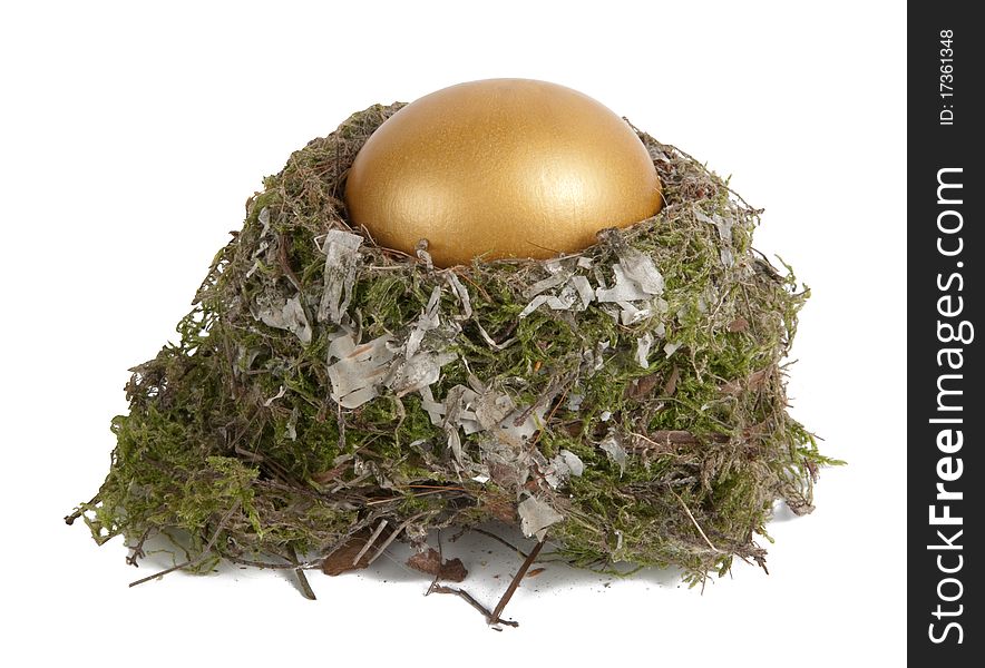 Golden egg in a real nest